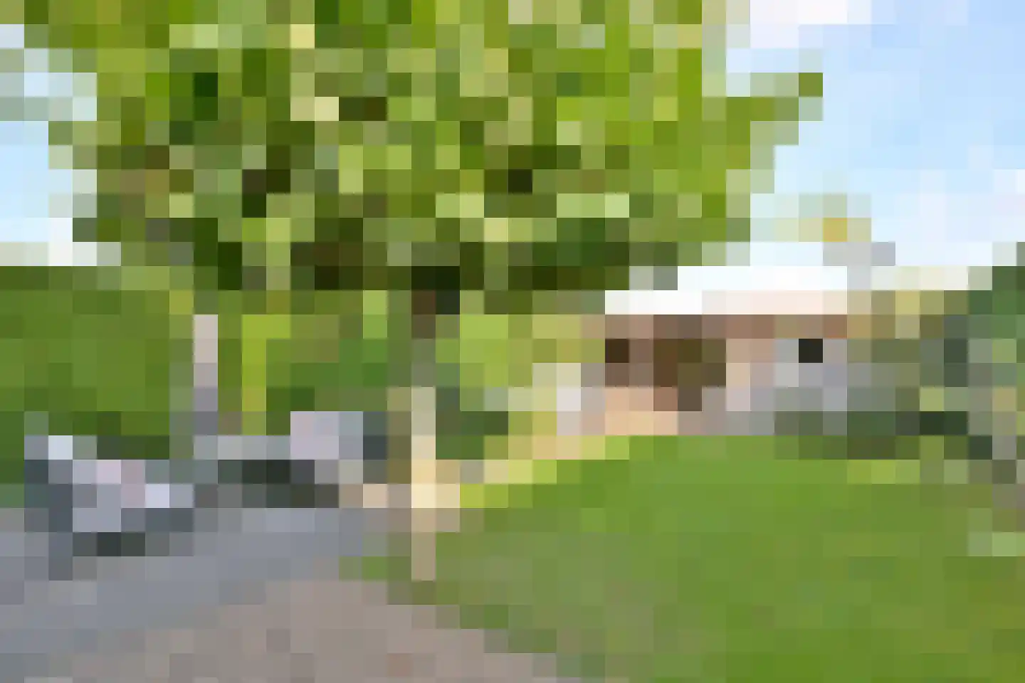 De Veldweide 12 Brummen thumbnail 44
