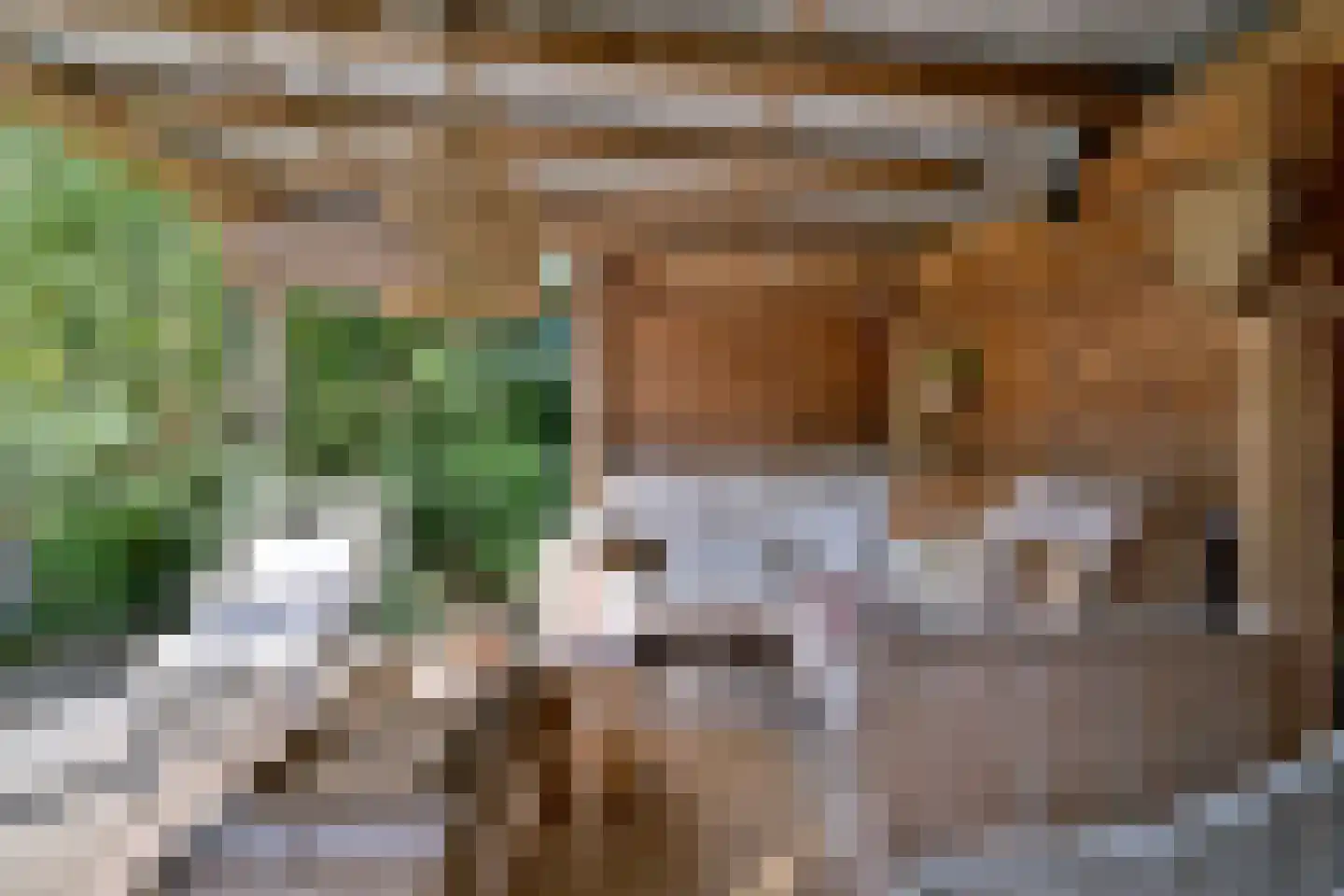 De Veldweide 12 Brummen thumbnail 45
