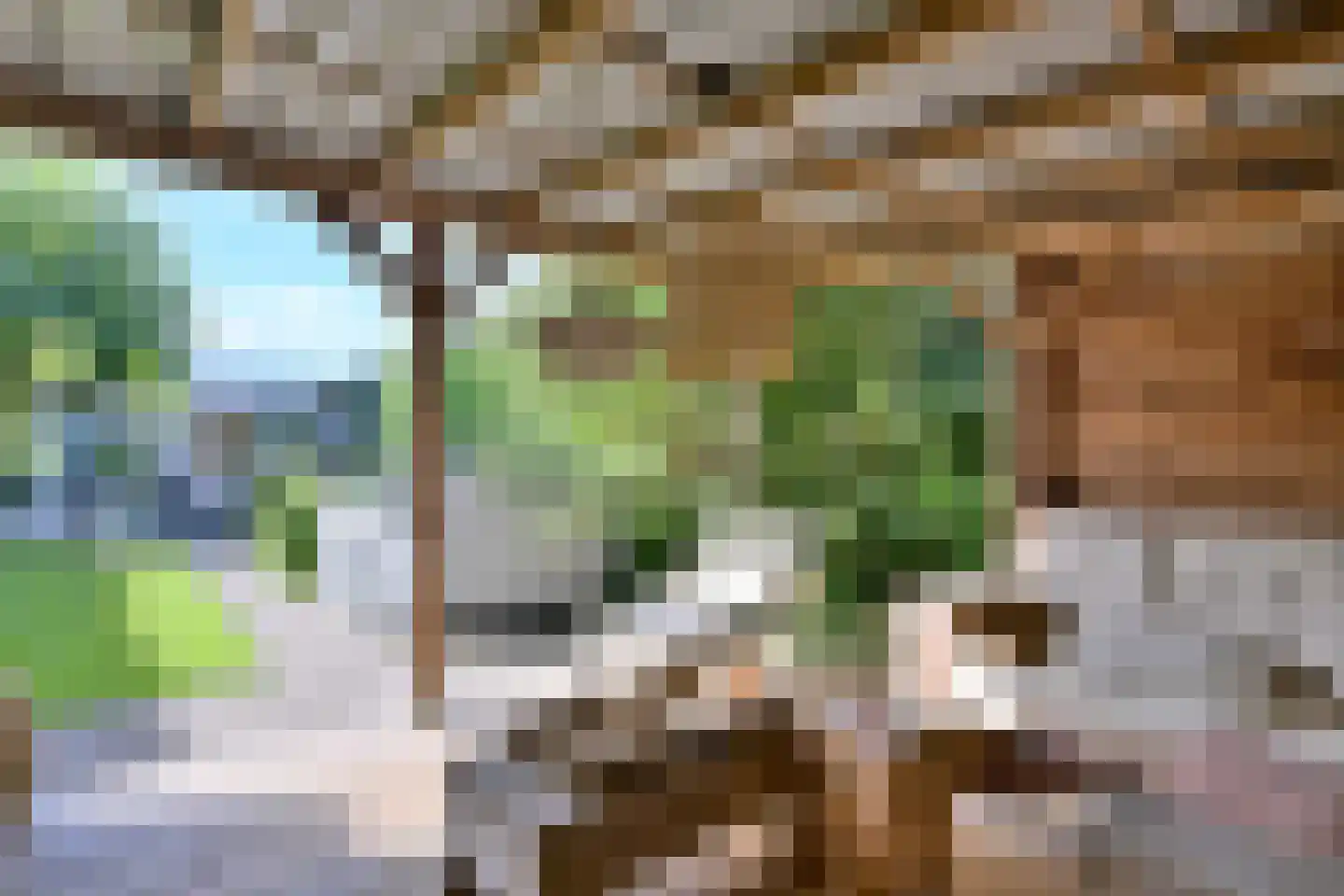 De Veldweide 12 Brummen thumbnail 46