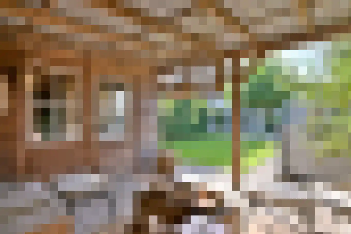 De Veldweide 12 Brummen thumbnail 47