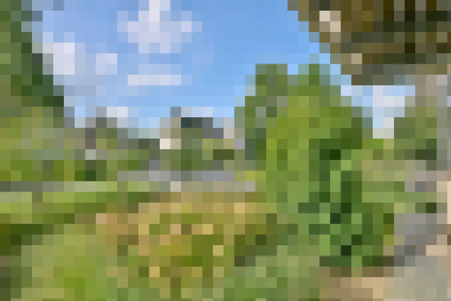 De Veldweide 12 Brummen thumbnail 52