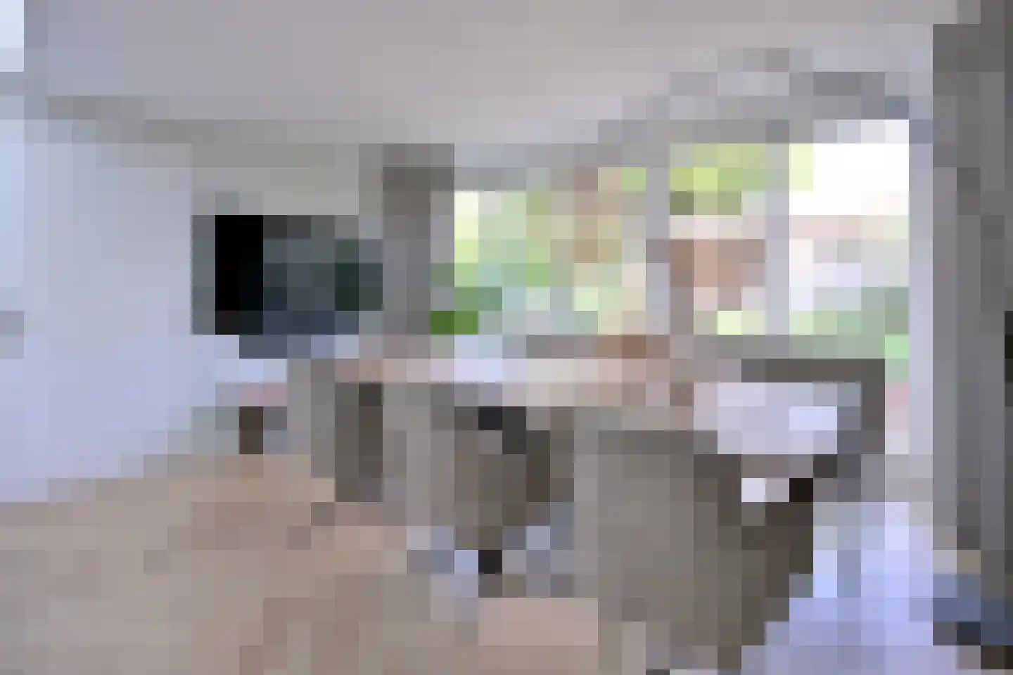 De Veldweide 12 Brummen thumbnail 9