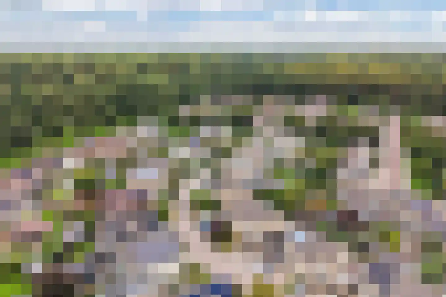 De Veluwse Snees 10 Dronten thumbnail 10