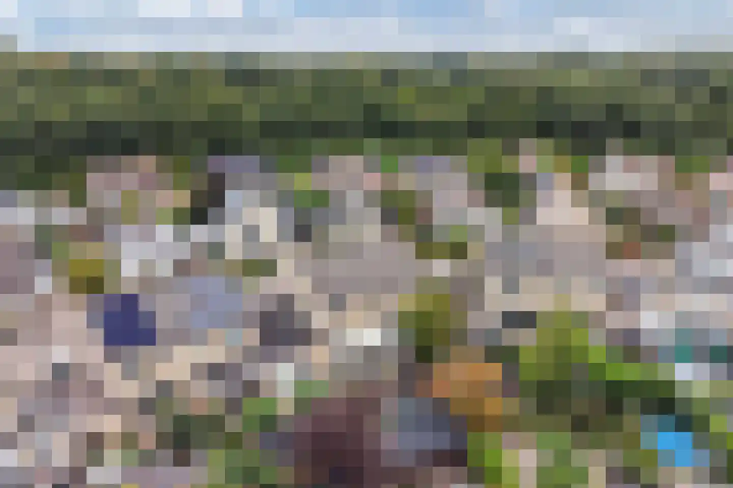 De Veluwse Snees 10 Dronten thumbnail 52