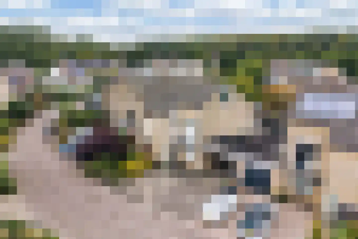 De Veluwse Snees 10 Dronten thumbnail 9