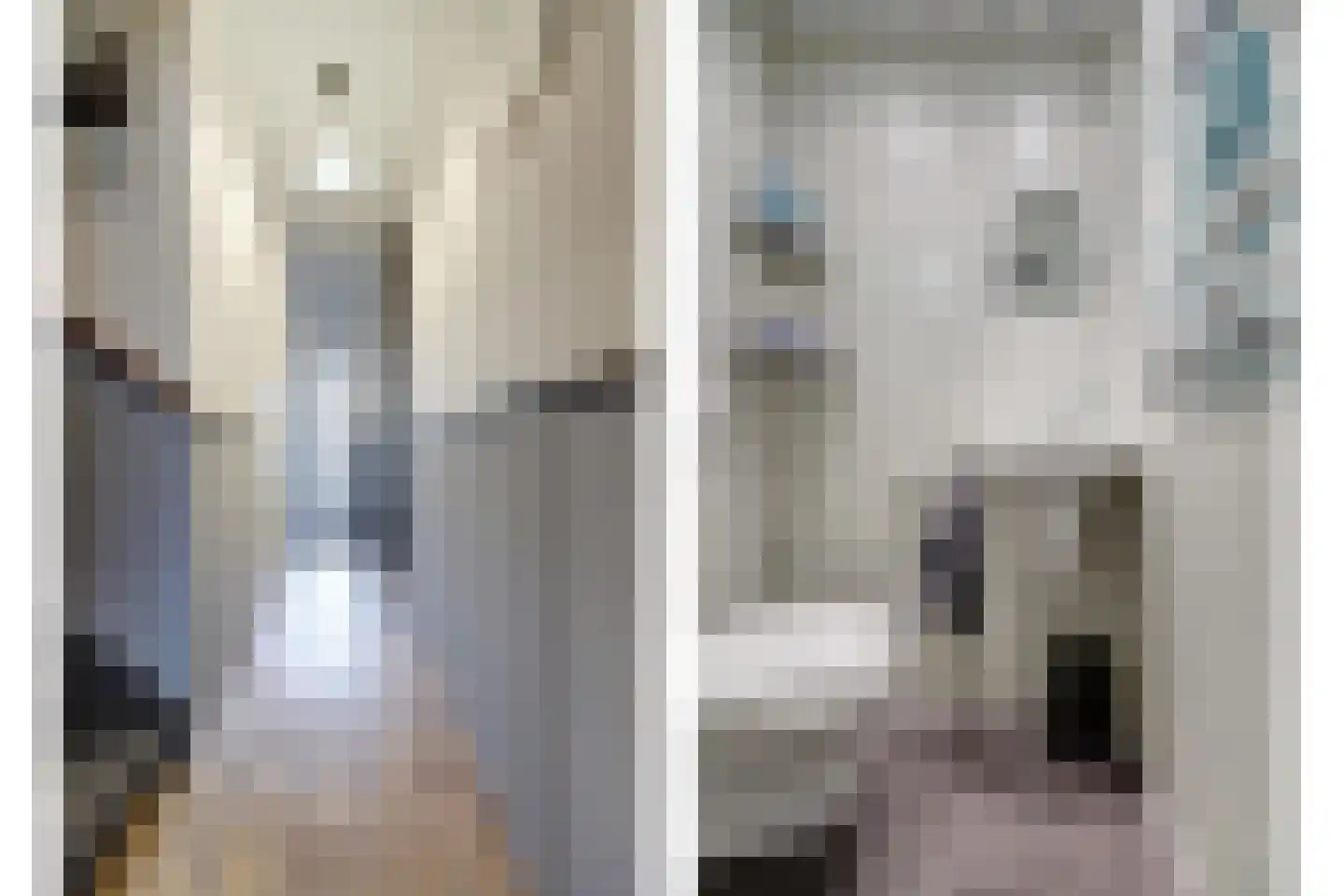 De Veluwse Snees 4 Dronten thumbnail 11