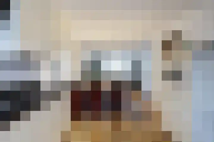 De Veluwse Snees 4 Dronten thumbnail 15