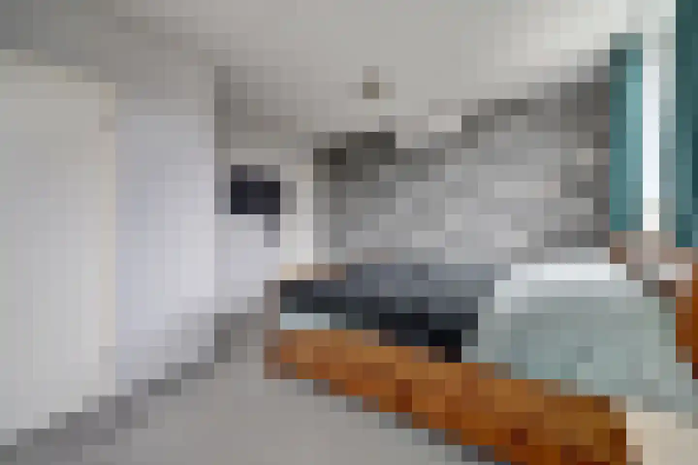 De Veluwse Snees 4 Dronten thumbnail 17