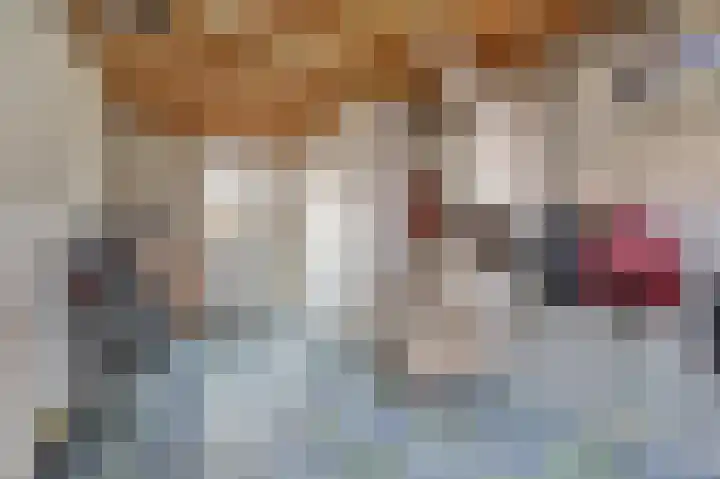 De Veluwse Snees 4 Dronten thumbnail 19