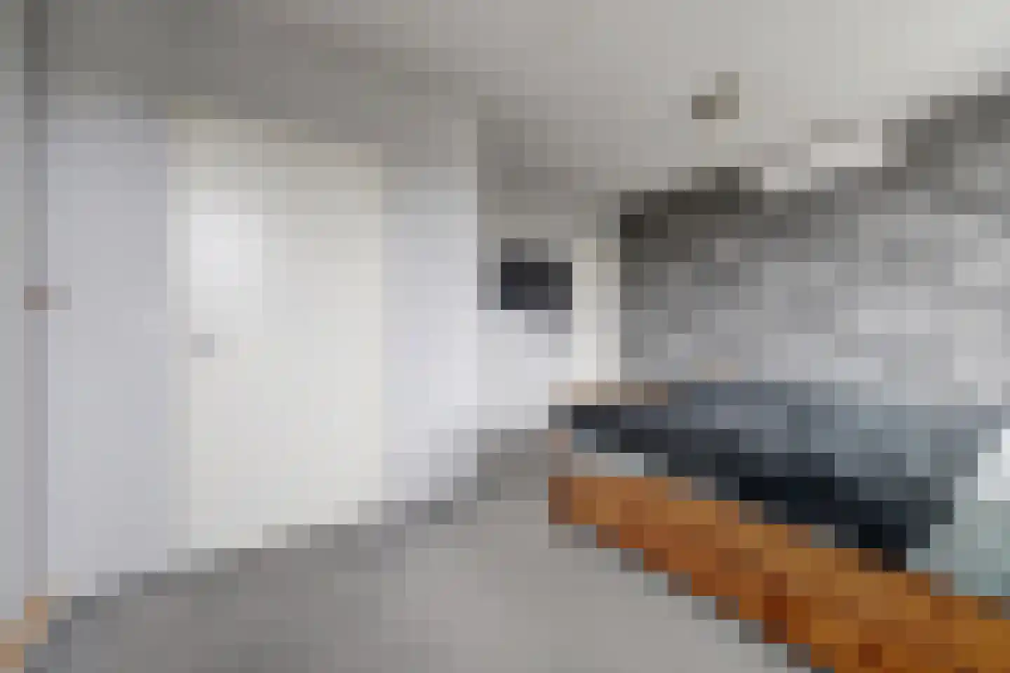 De Veluwse Snees 4 Dronten thumbnail 19