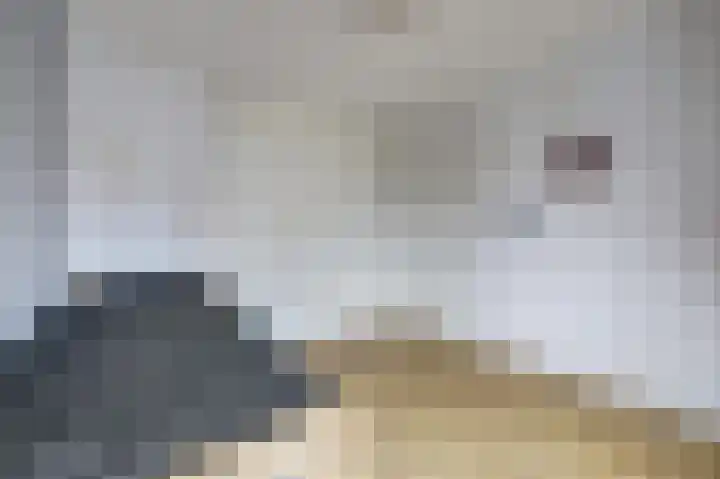 De Veluwse Snees 4 Dronten thumbnail 21
