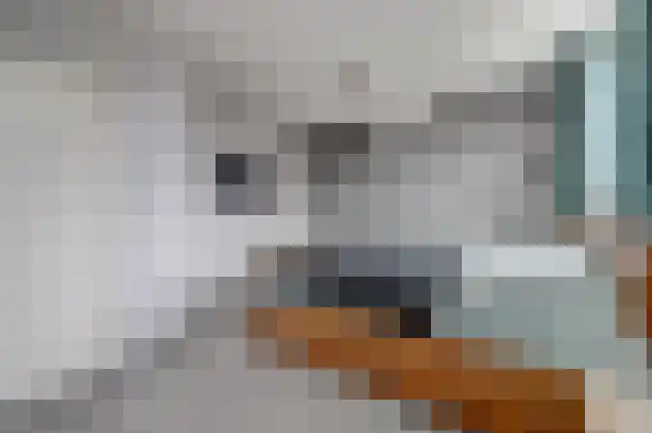 De Veluwse Snees 4 Dronten thumbnail 22