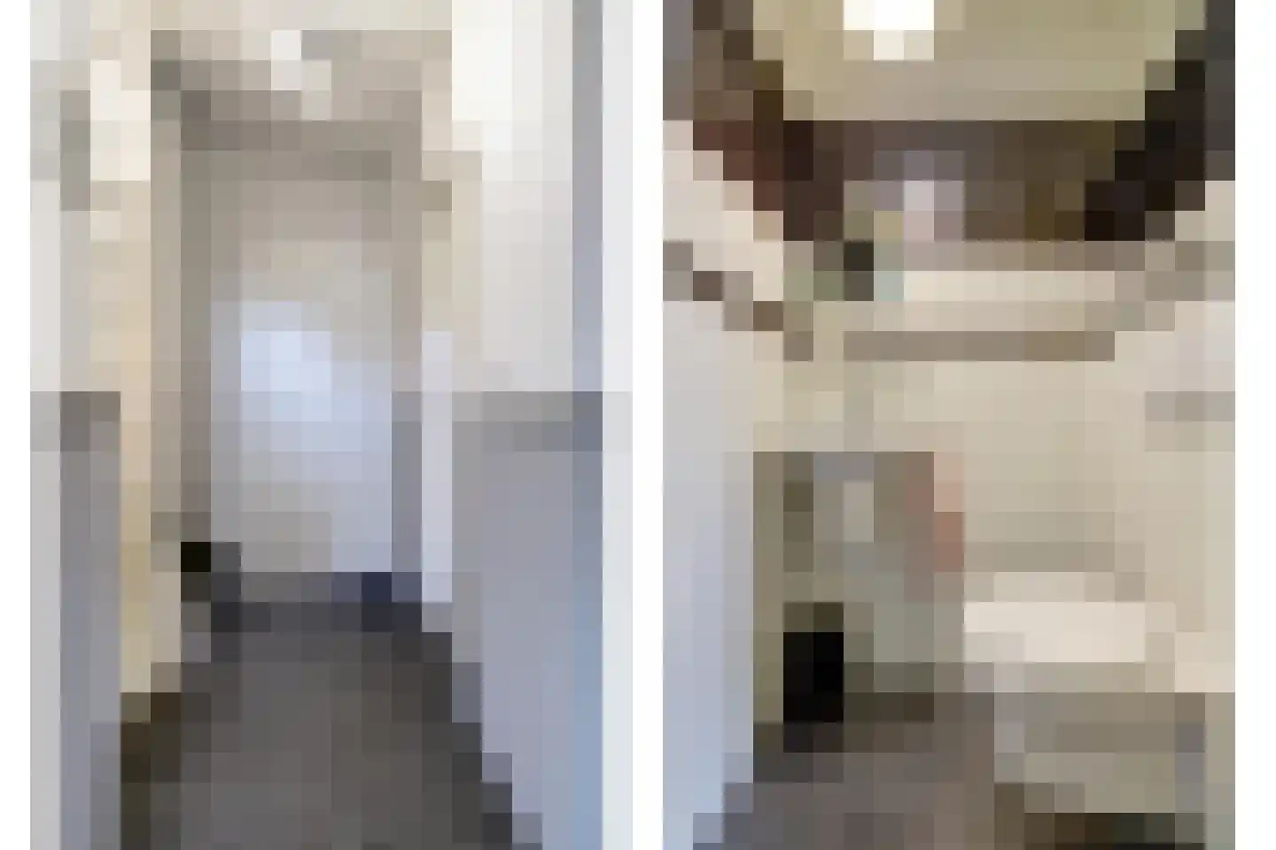 De Veluwse Snees 4 Dronten thumbnail 23