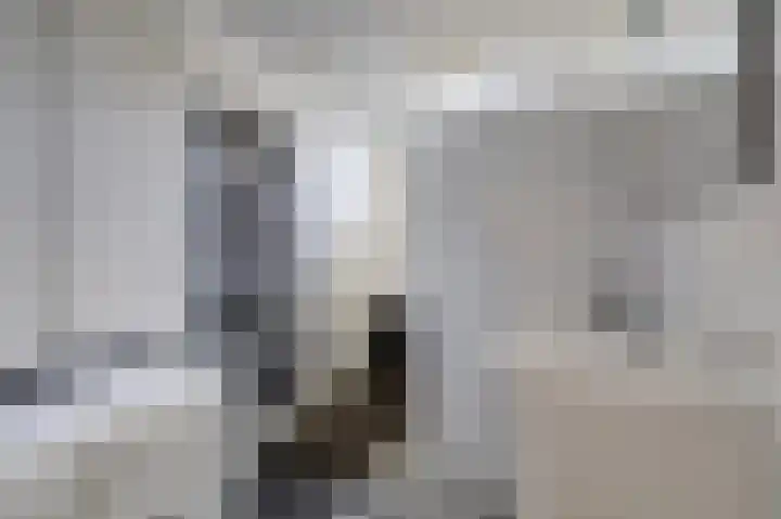 De Veluwse Snees 4 Dronten thumbnail 26