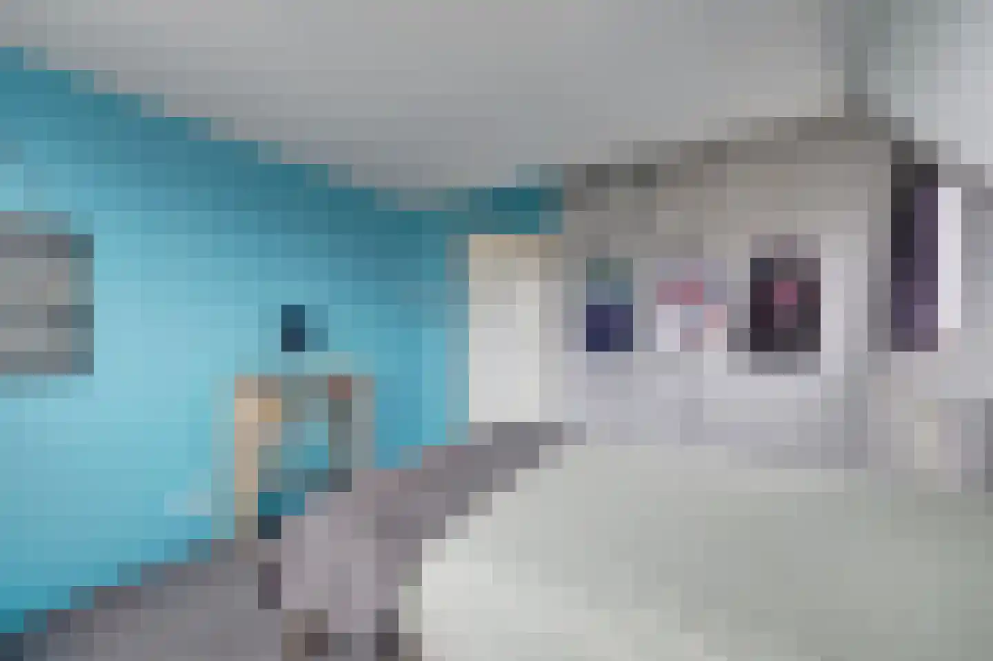 De Veluwse Snees 4 Dronten thumbnail 29