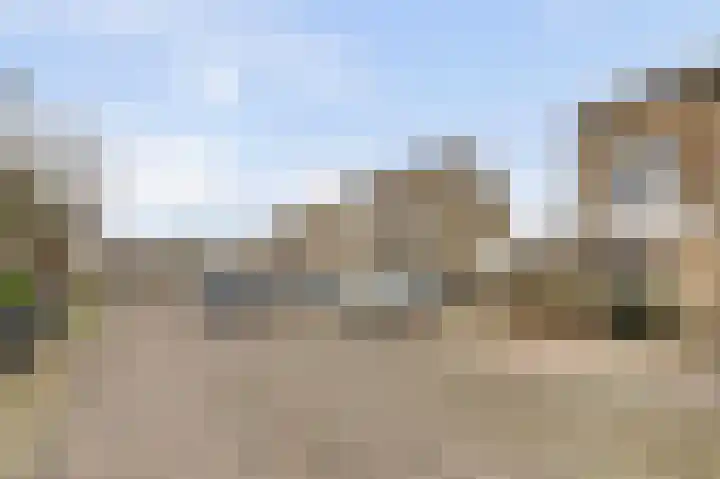 De Veluwse Snees 4 Dronten foto 3