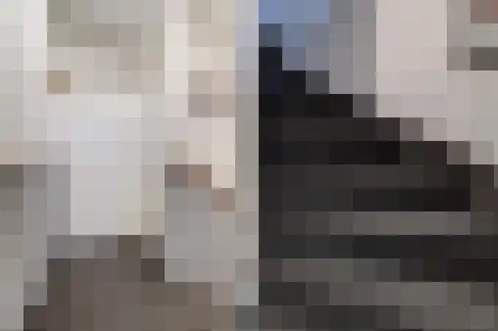 De Veluwse Snees 4 Dronten thumbnail 30