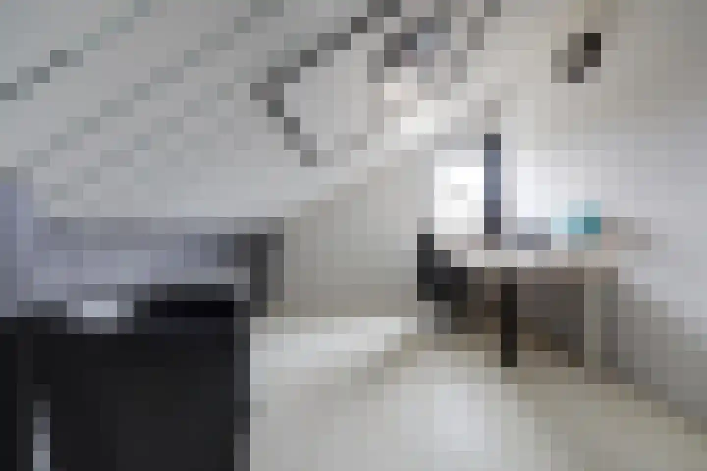De Veluwse Snees 4 Dronten thumbnail 30