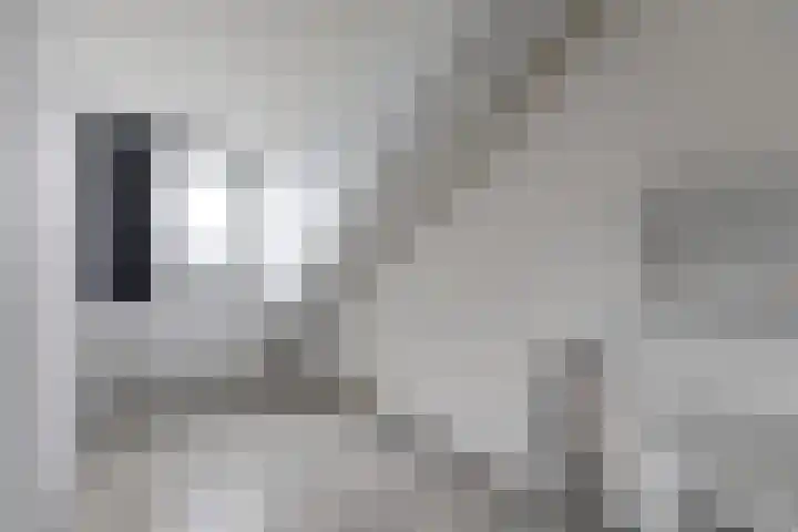 De Veluwse Snees 4 Dronten thumbnail 31