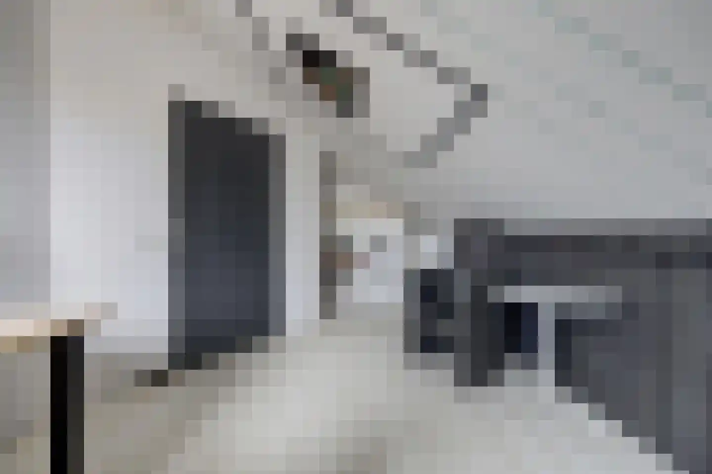 De Veluwse Snees 4 Dronten thumbnail 31