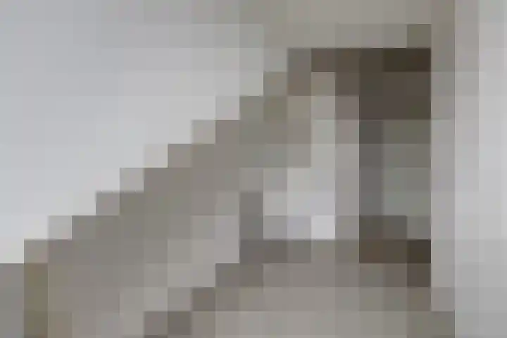 De Veluwse Snees 4 Dronten thumbnail 32