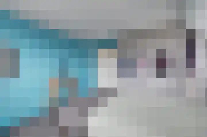 De Veluwse Snees 4 Dronten thumbnail 34