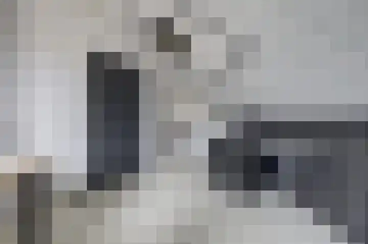 De Veluwse Snees 4 Dronten thumbnail 36