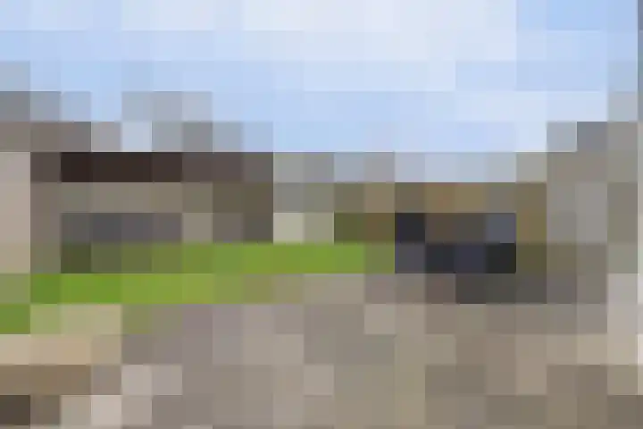 De Veluwse Snees 4 Dronten thumbnail 37