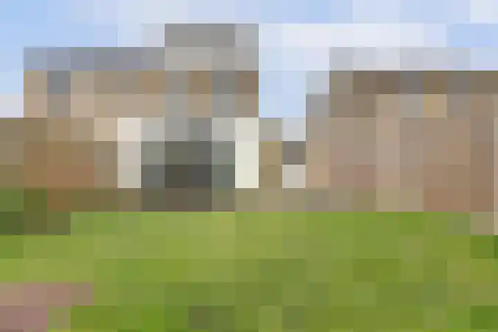 De Veluwse Snees 4 Dronten thumbnail 38