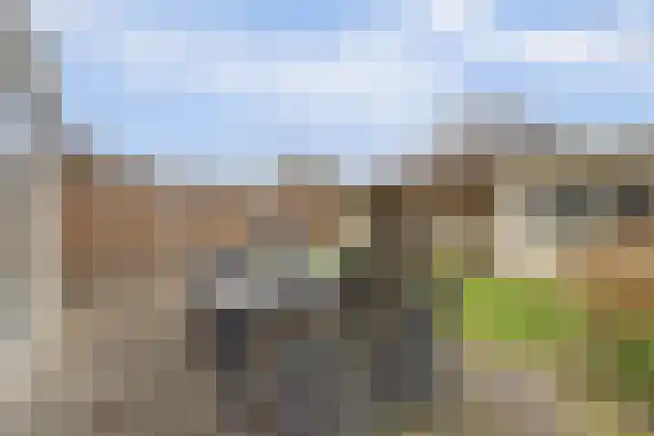 De Veluwse Snees 4 Dronten thumbnail 39