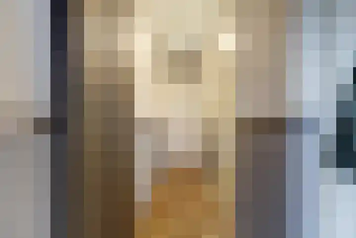 De Veluwse Snees 4 Dronten thumbnail 7