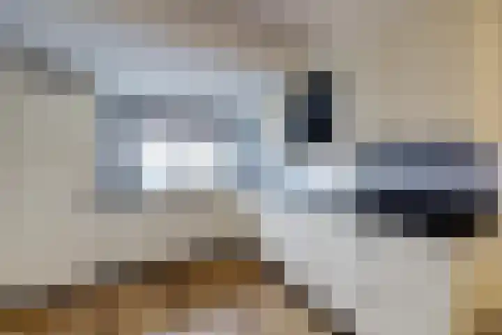 De Veluwse Snees 4 Dronten thumbnail 8