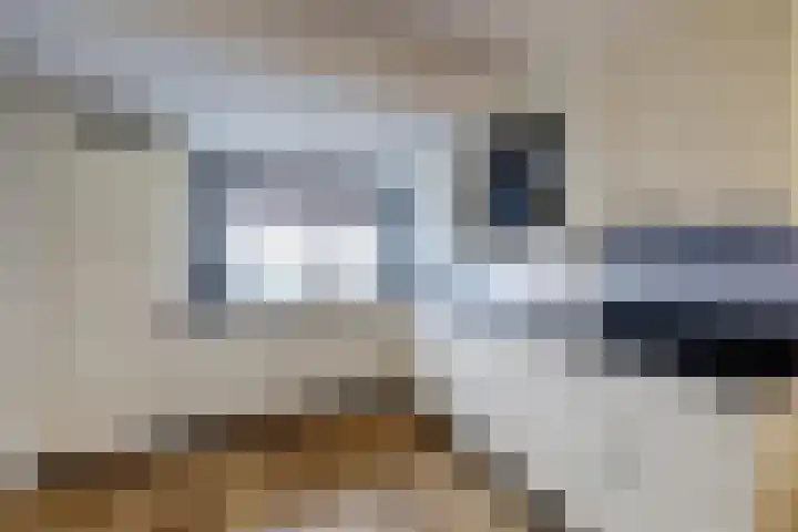 De Veluwse Snees 4 Dronten thumbnail 9