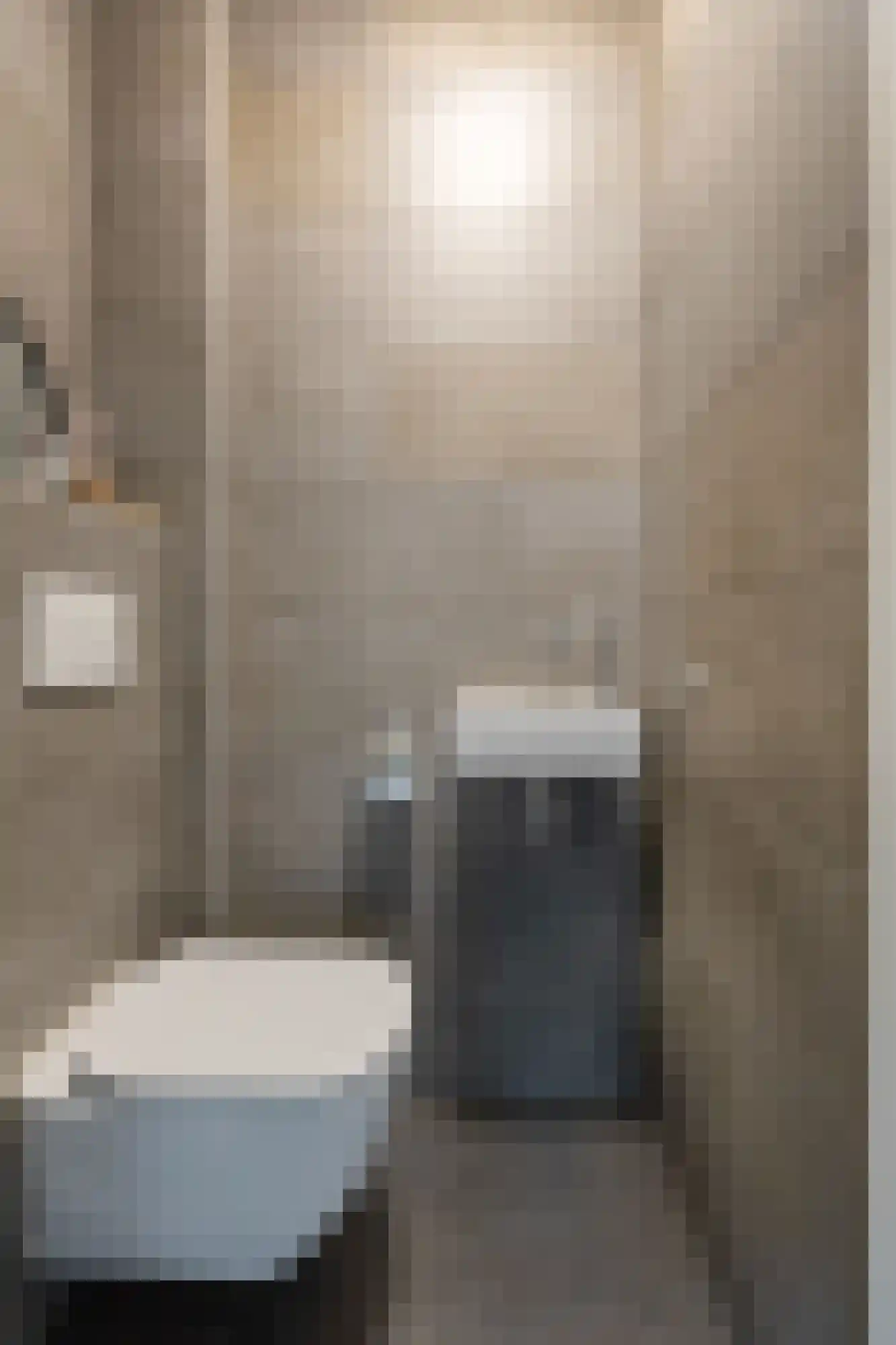 De Vendelier 1 Duiven thumbnail 11
