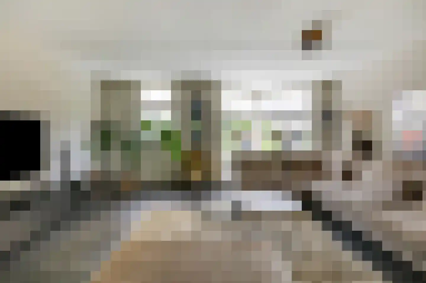 De Vendelier 1 Duiven thumbnail 14