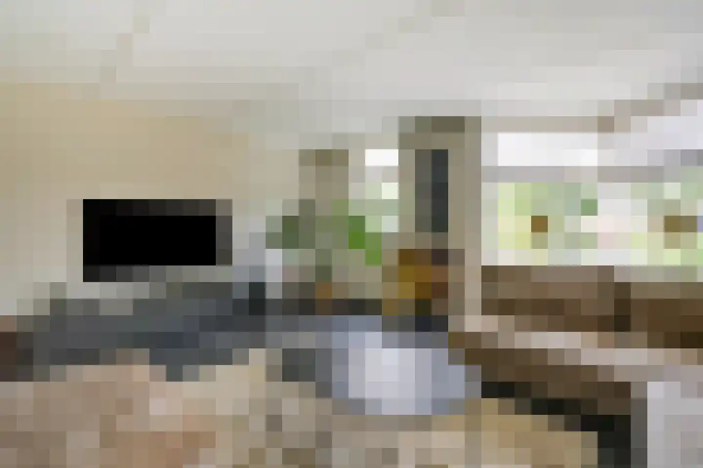 De Vendelier 1 Duiven thumbnail 15