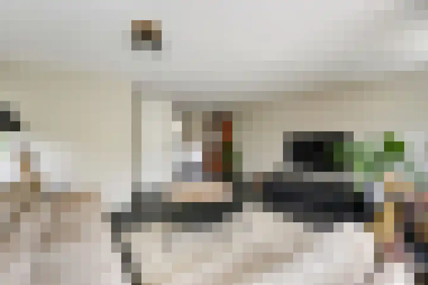 De Vendelier 1 Duiven thumbnail 16