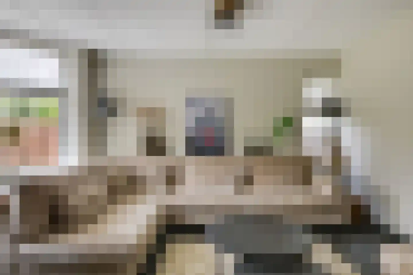 De Vendelier 1 Duiven thumbnail 17