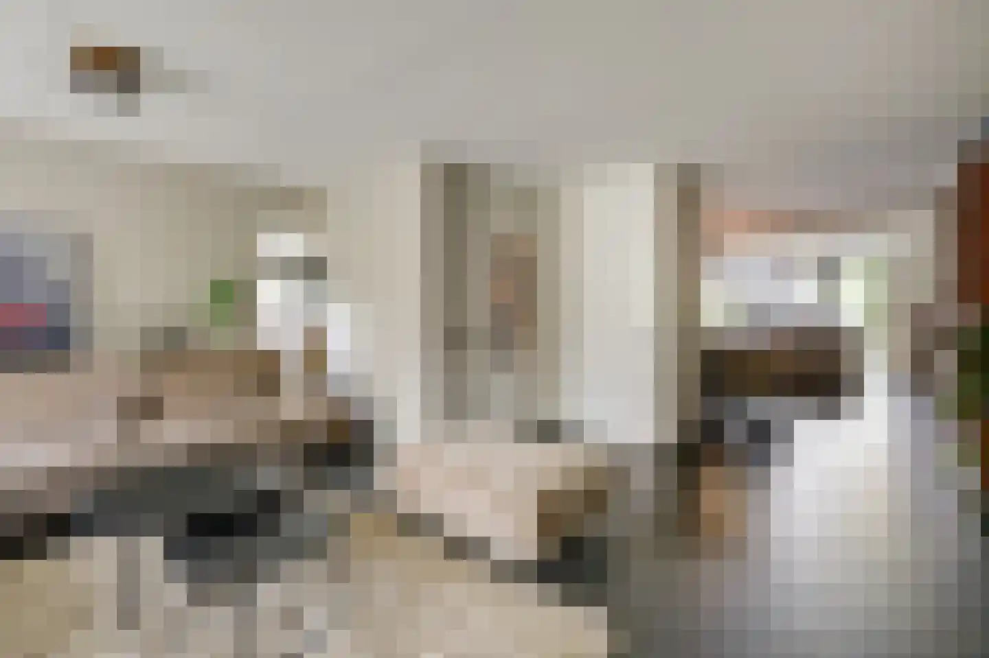 De Vendelier 1 Duiven thumbnail 18