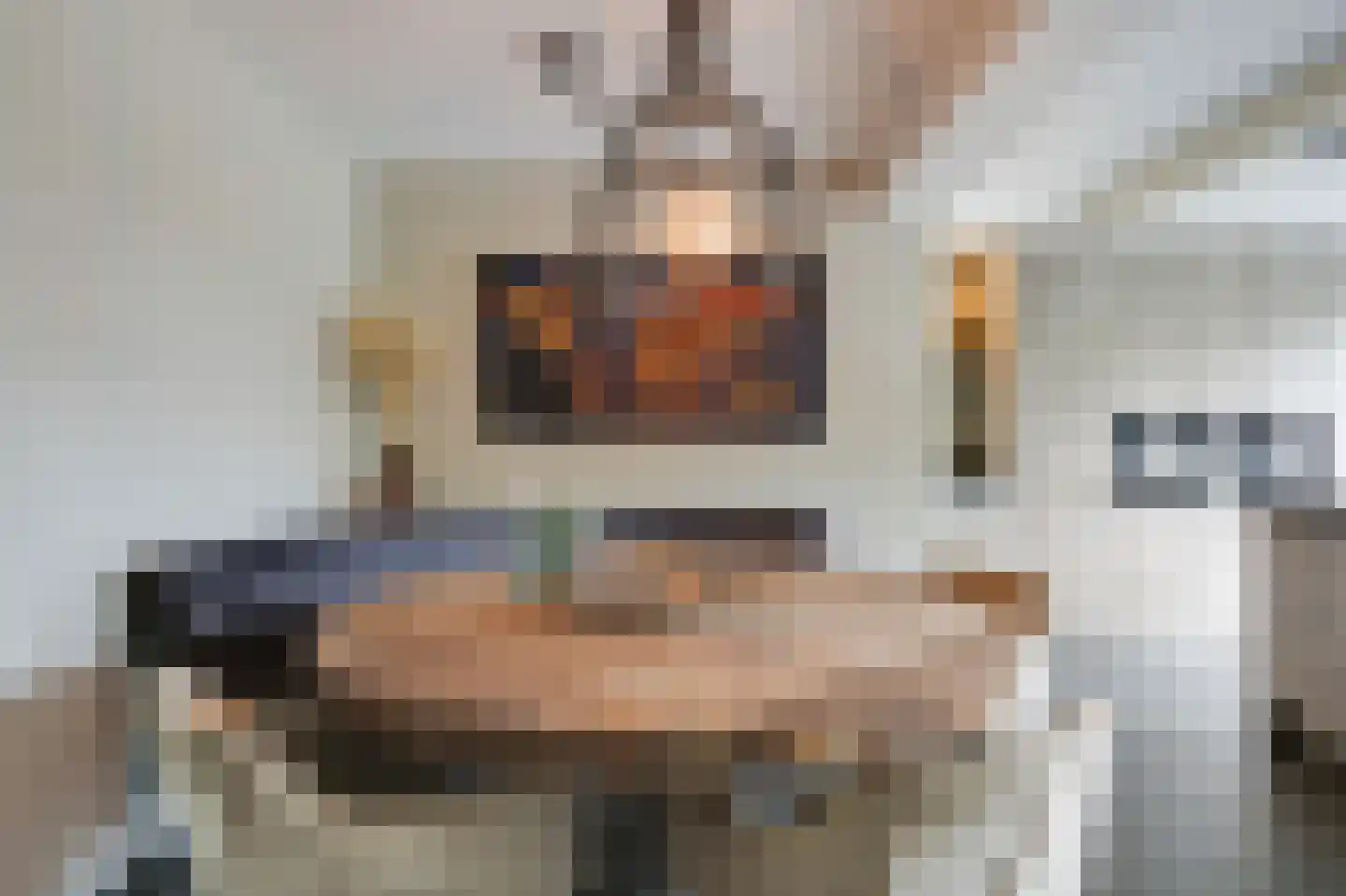 De Vendelier 1 Duiven thumbnail 20