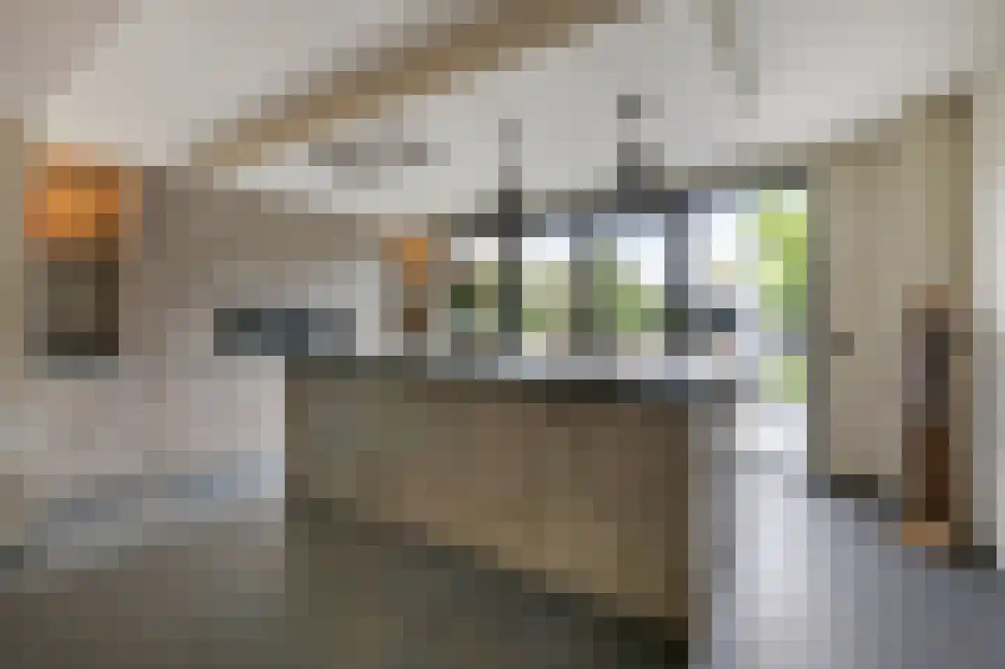 De Vendelier 1 Duiven thumbnail 22