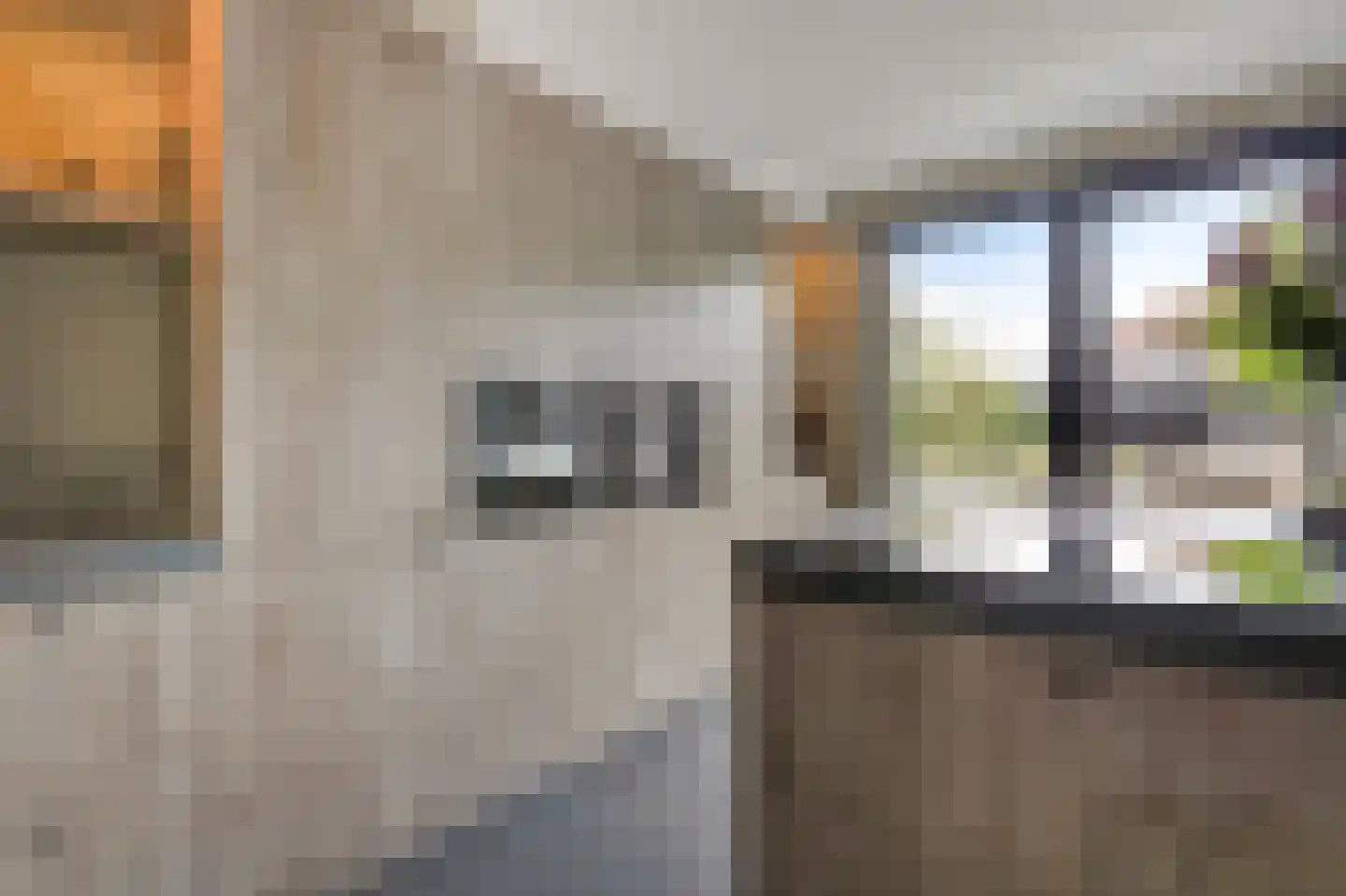 De Vendelier 1 Duiven thumbnail 23