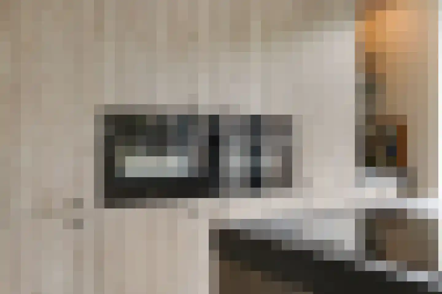 De Vendelier 1 Duiven thumbnail 24