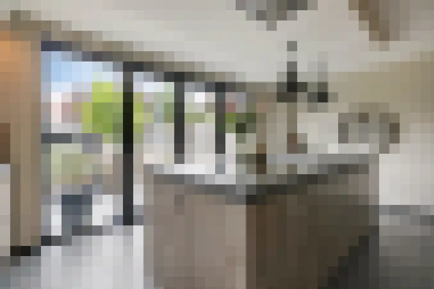 De Vendelier 1 Duiven thumbnail 25