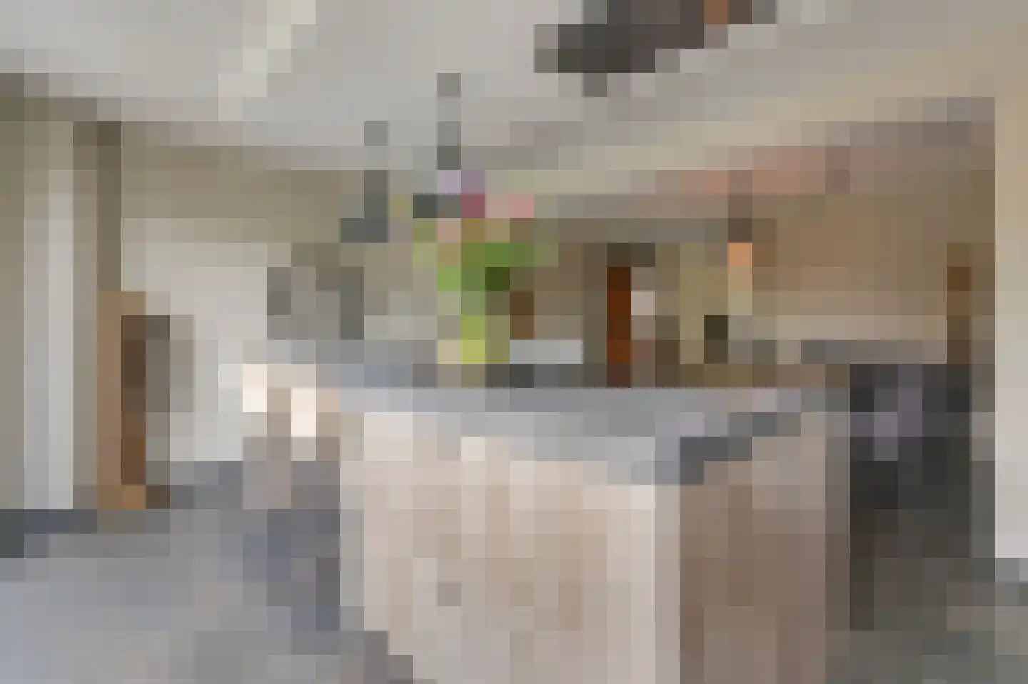 De Vendelier 1 Duiven thumbnail 26