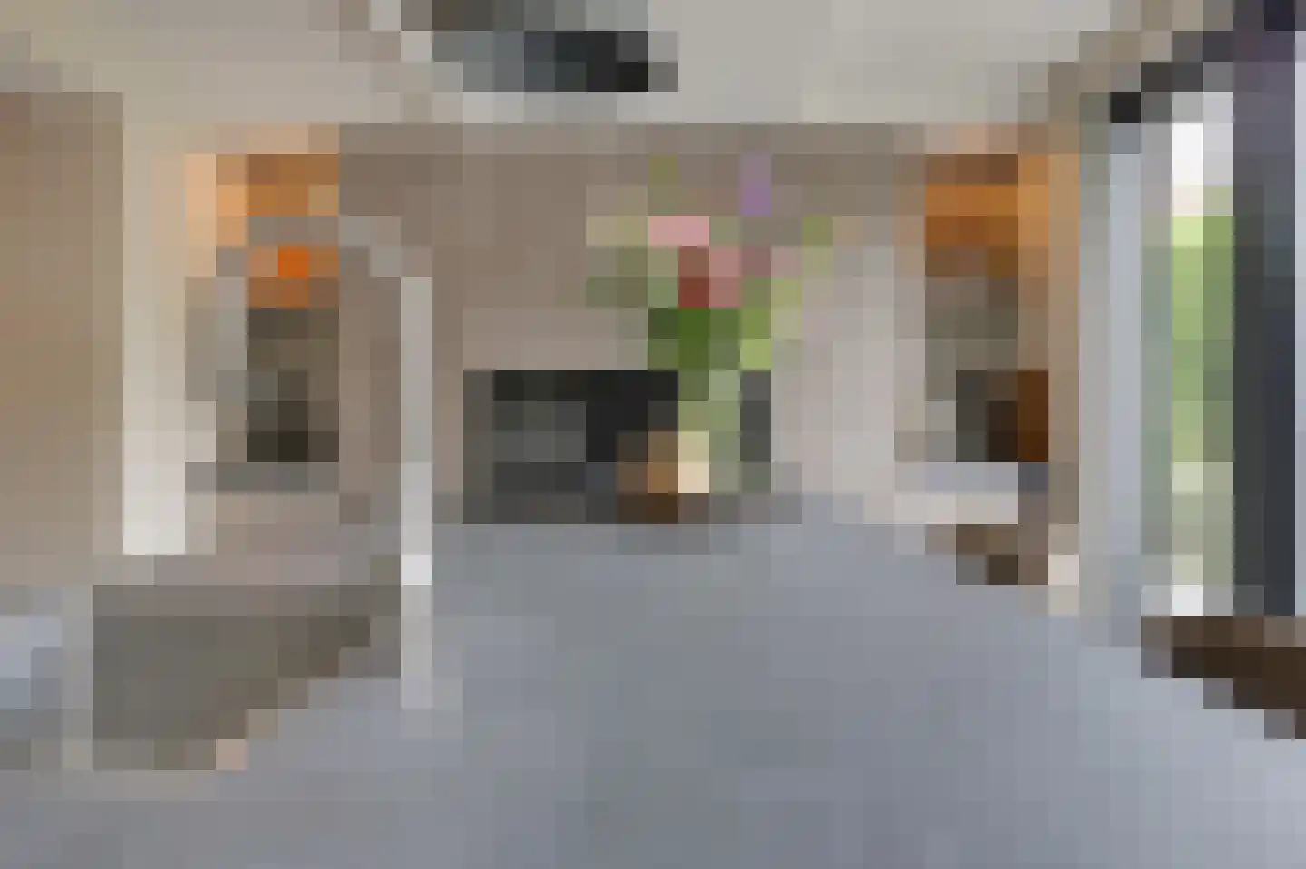 De Vendelier 1 Duiven thumbnail 27