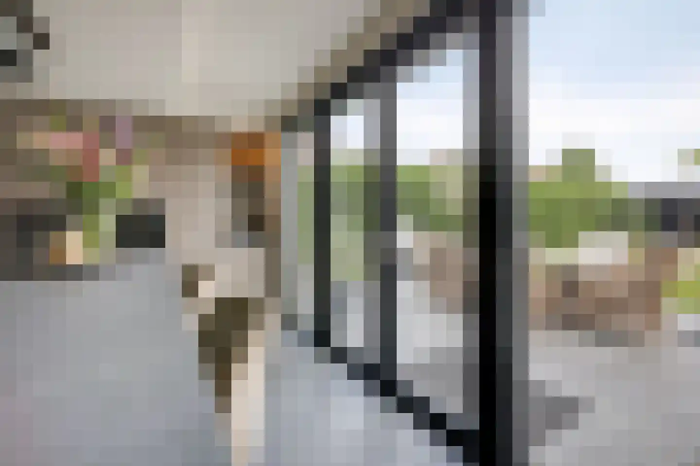 De Vendelier 1 Duiven thumbnail 28
