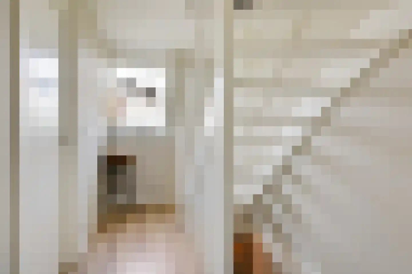 De Vendelier 1 Duiven thumbnail 29