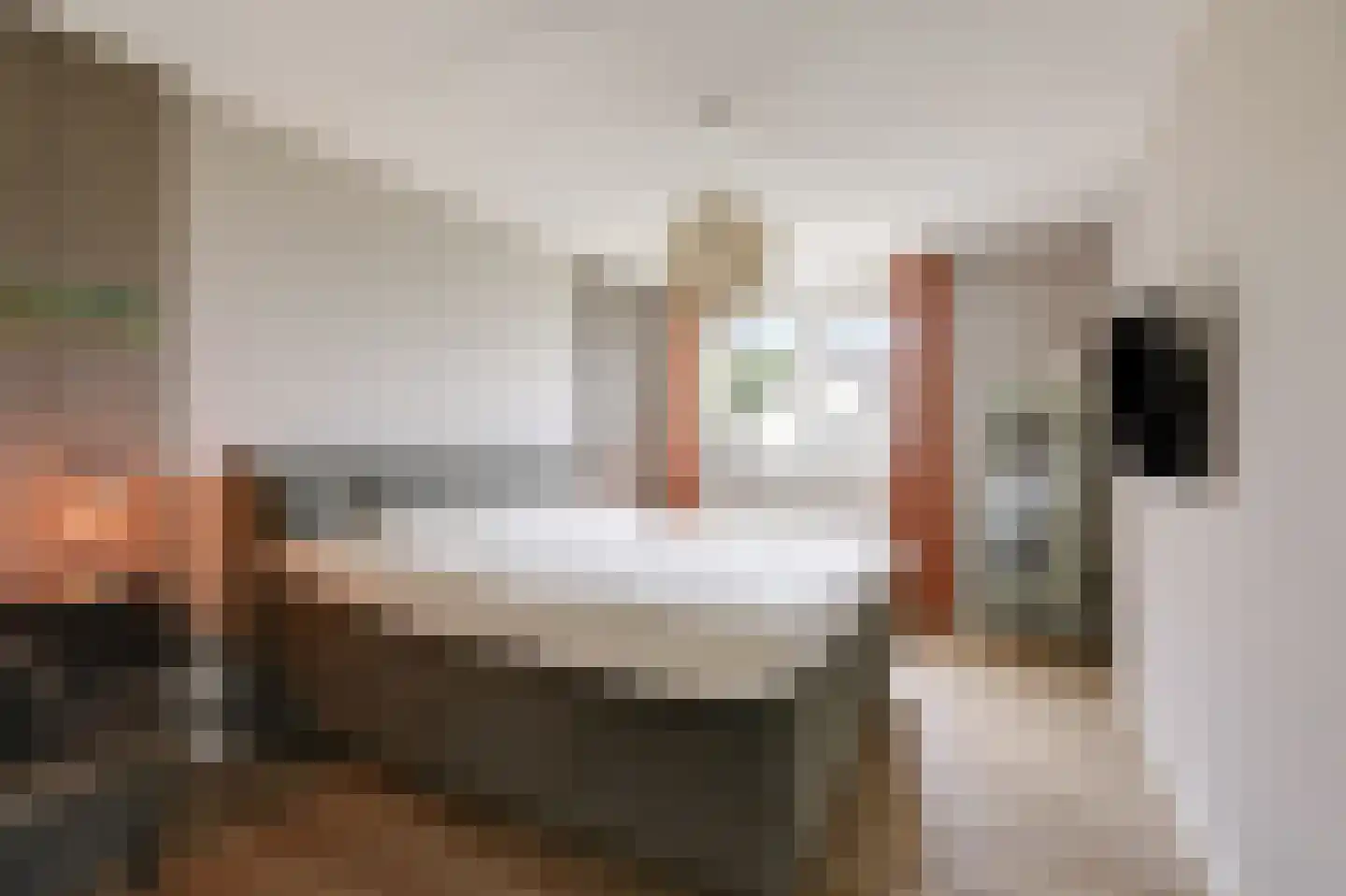 De Vendelier 1 Duiven thumbnail 30