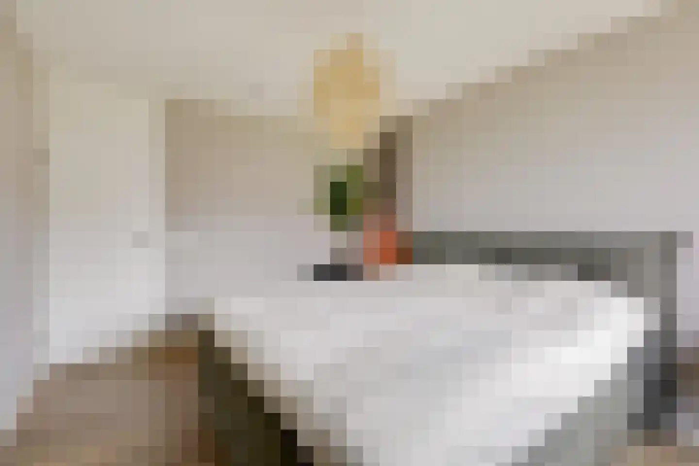 De Vendelier 1 Duiven thumbnail 31